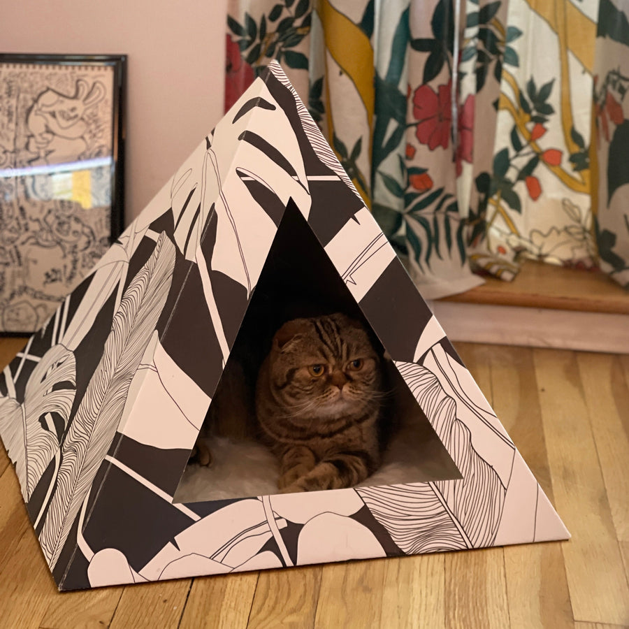 'Dark Paradise' Cardboard Cat Pyramid