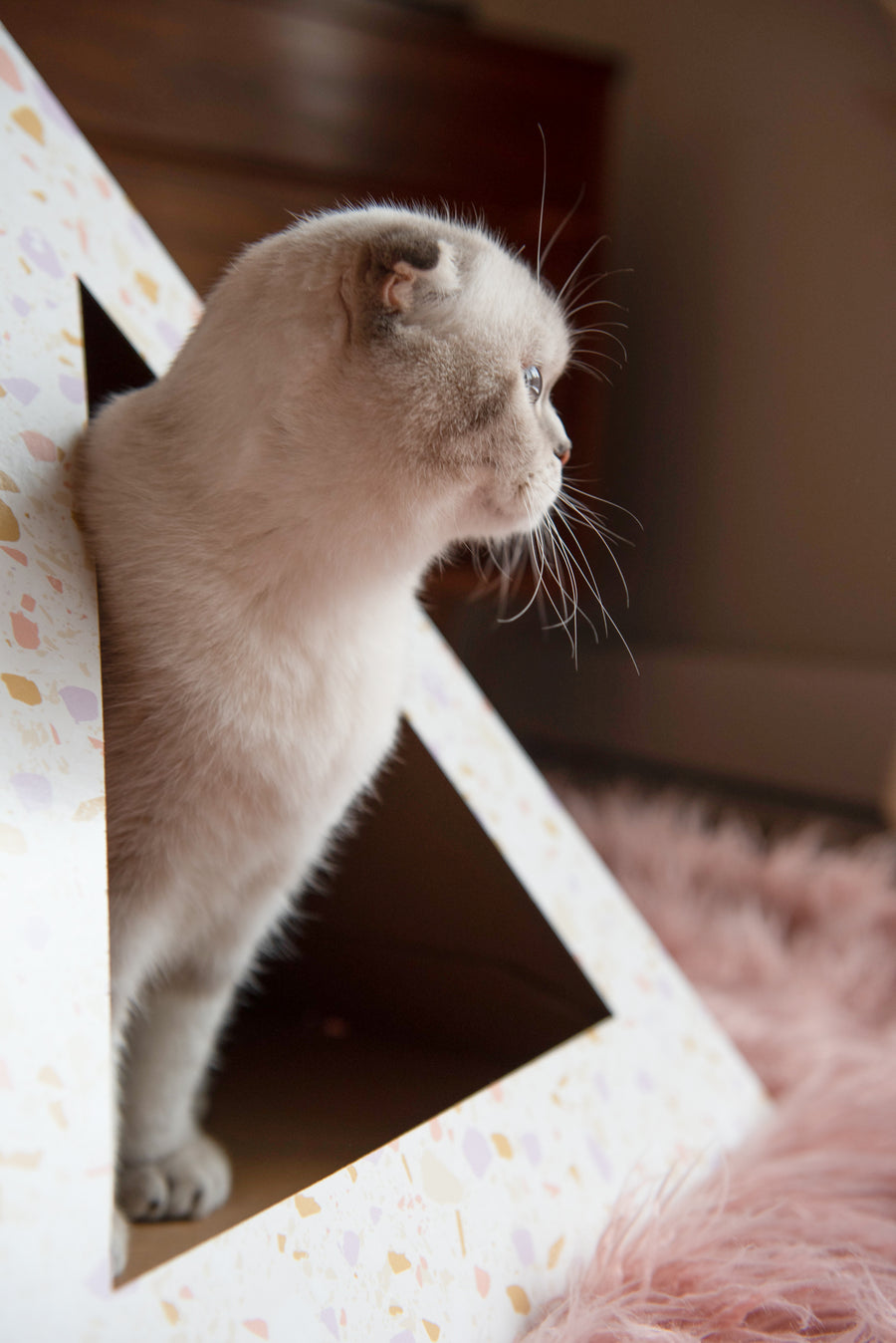 'Terrazzo' Cardboard Cat Pyramid