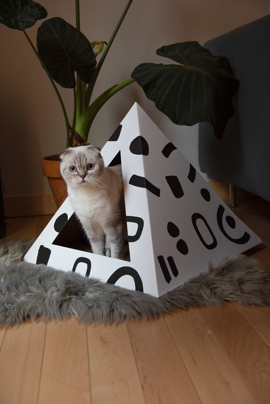 'Doodle' Cardboard Cat Pyramid