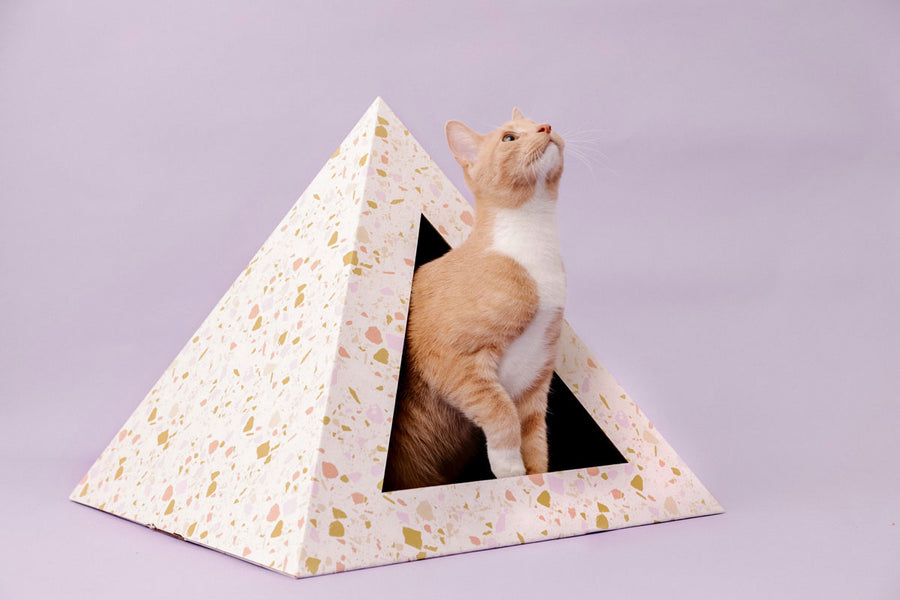 'Terrazzo' Cardboard Cat Pyramid